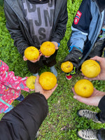 Minik Sporcular Çeşme'de