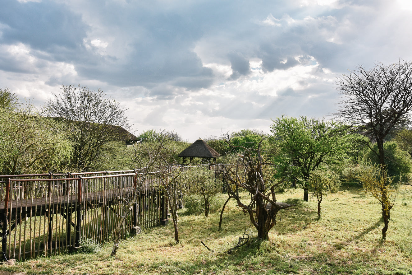 Minik Sporcular Safari'de