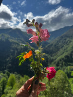 Minik Sporcular Karadeniz'de