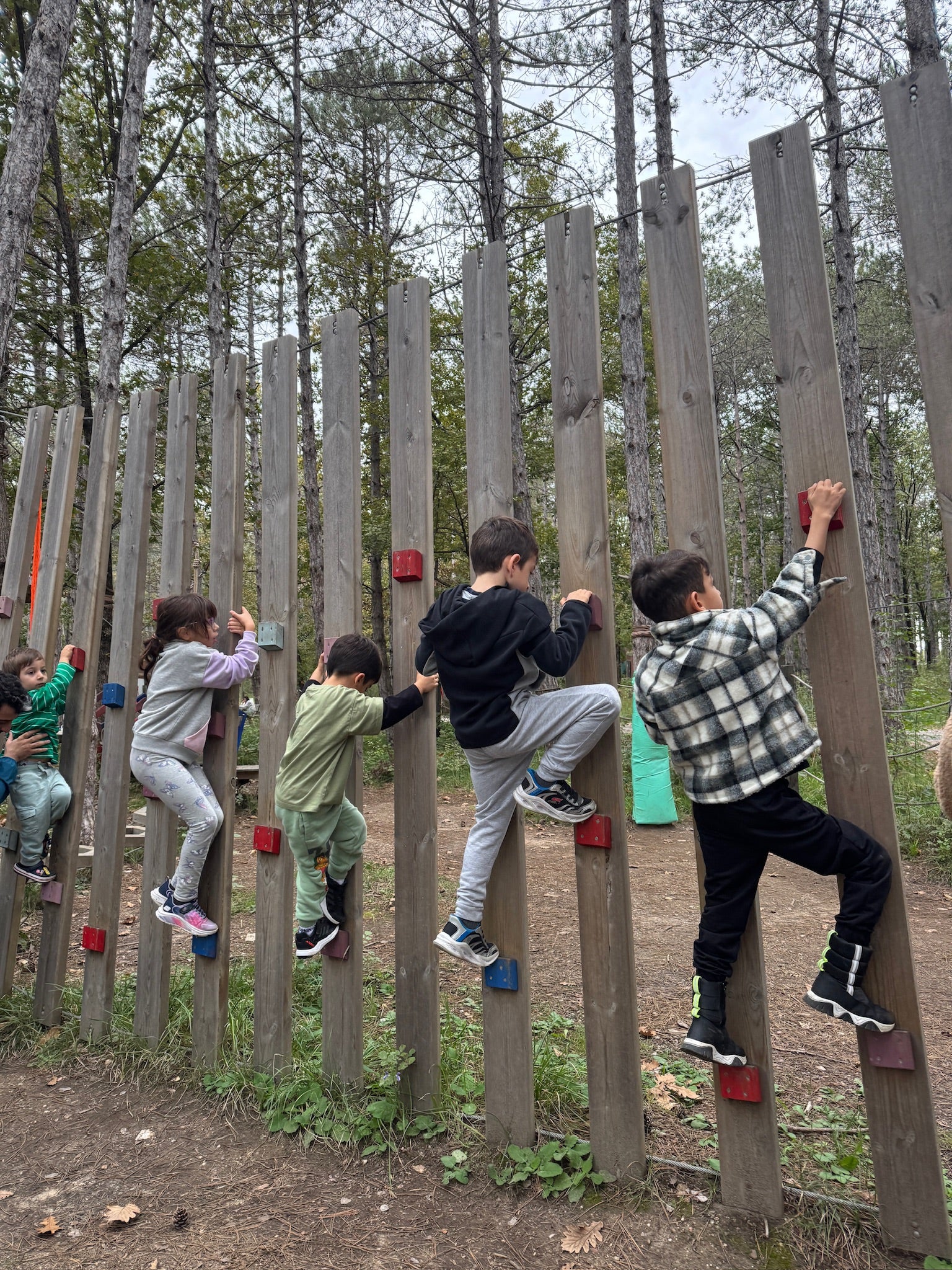 Minik Sporcular Longoz Ormanları'nda