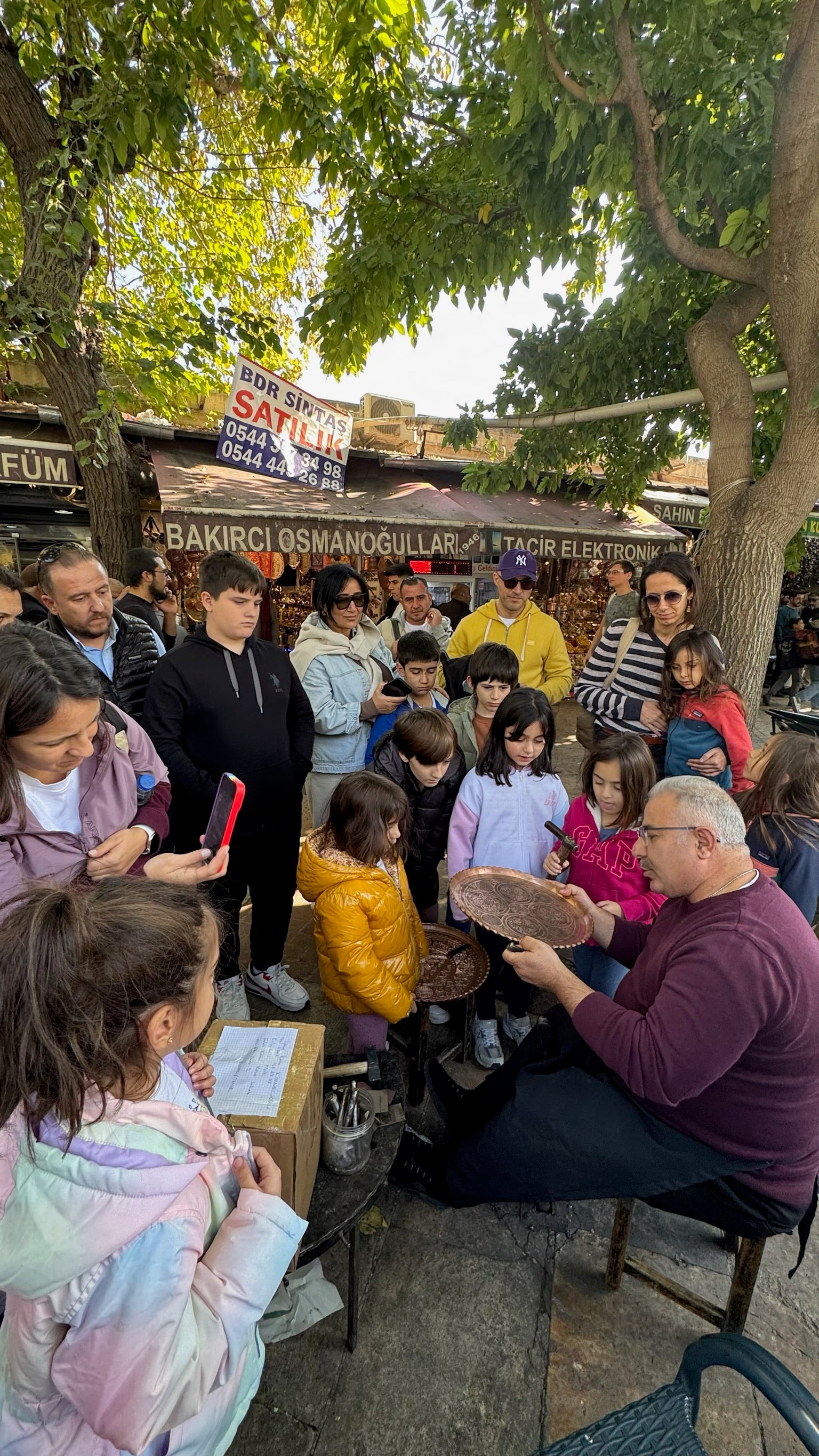Dört Mevsim Doğada