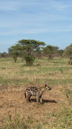 Minik Sporcular Safari'de