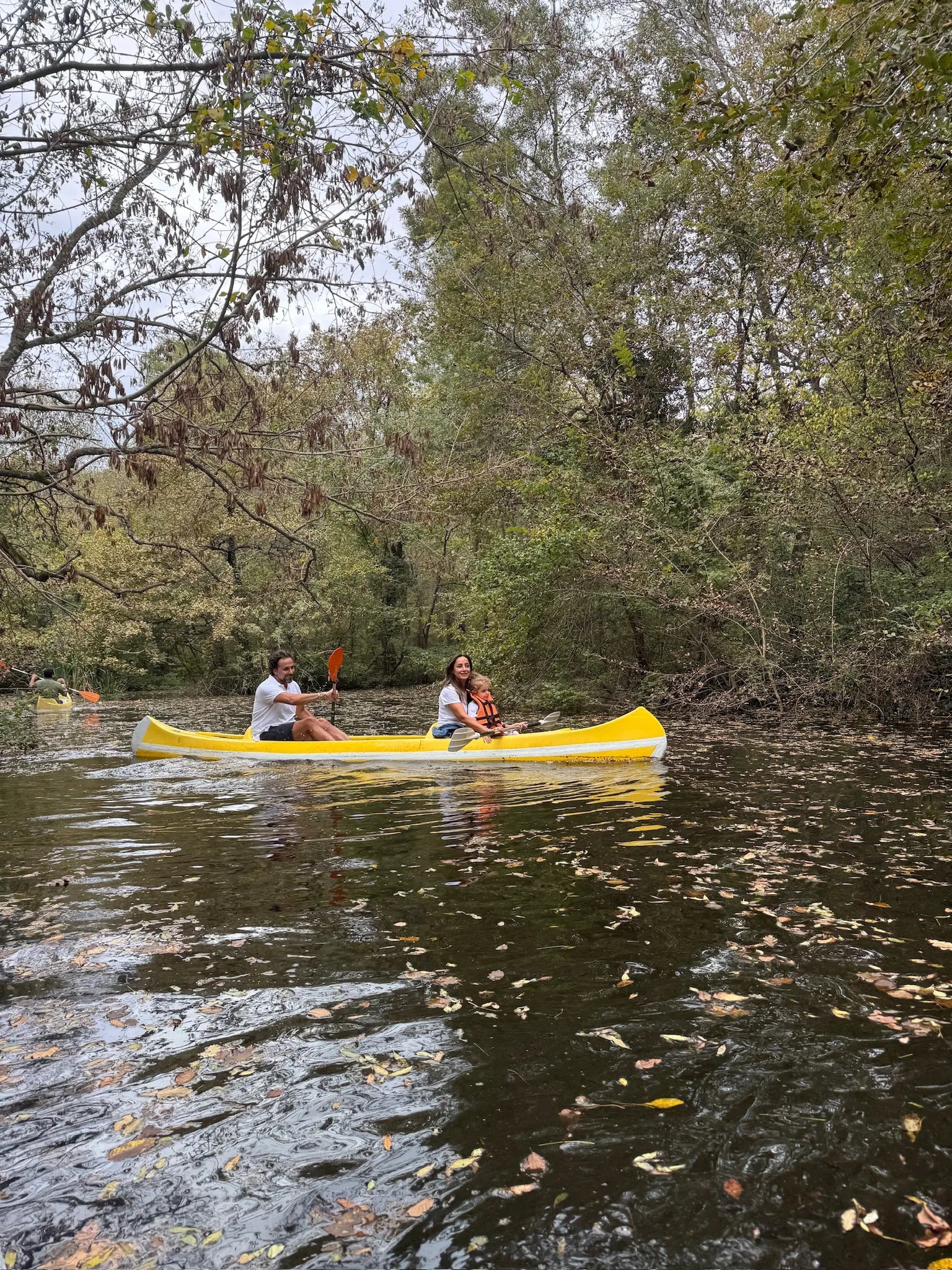 Minik Sporcular Longoz Ormanları'nda