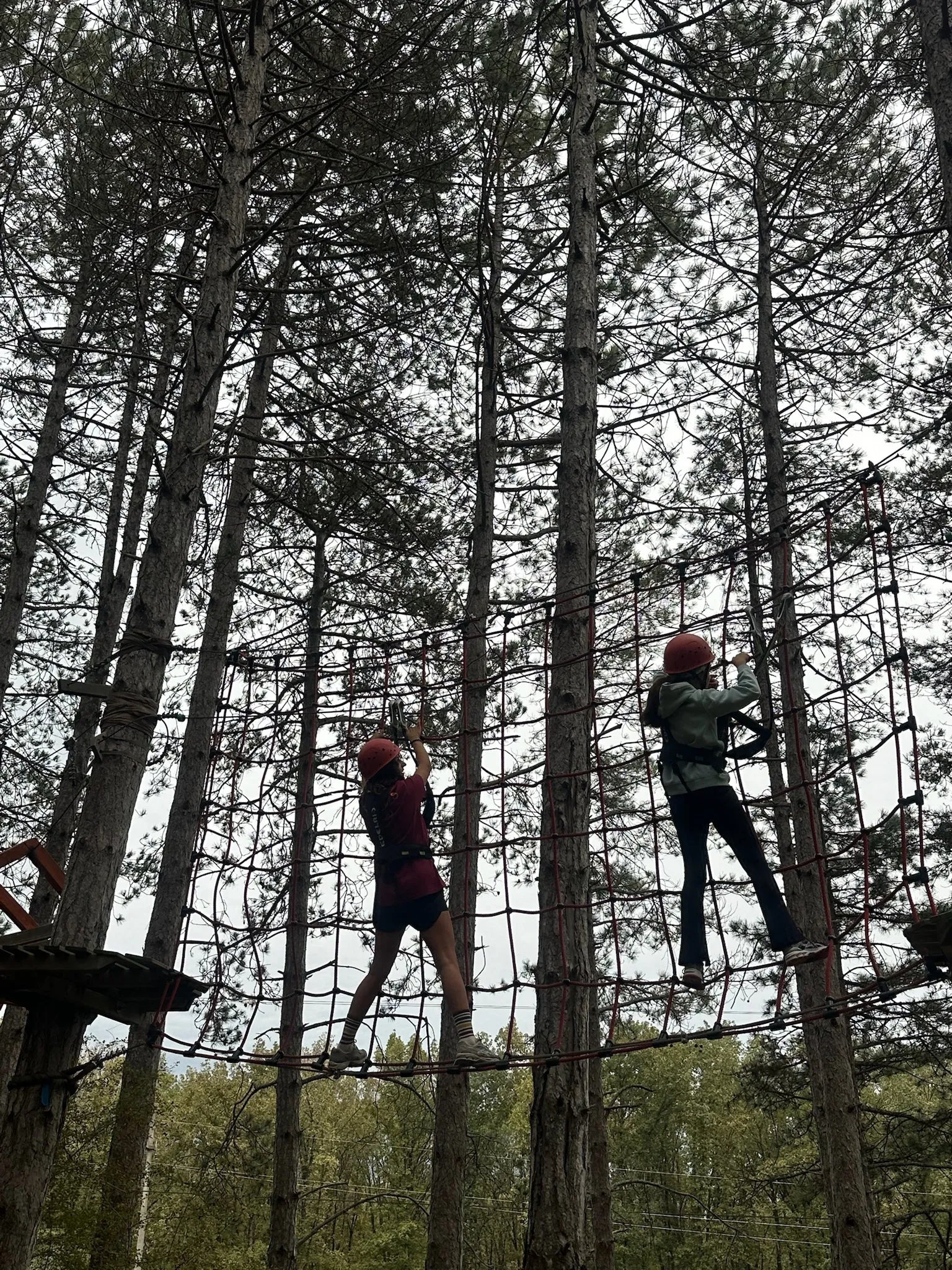 Minik Sporcular Longoz Ormanları'nda